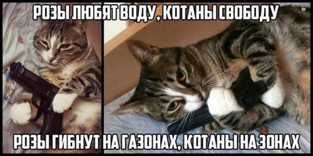 Абсурдный юмор ч.18