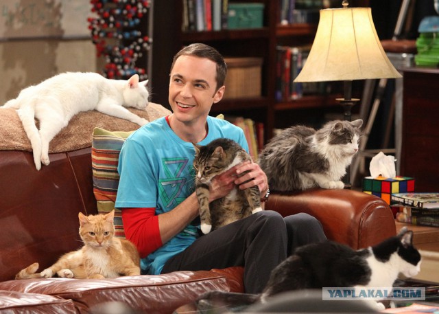 Небольшой фото-отчет ко втонику: мейн-кун Шелдон Купер