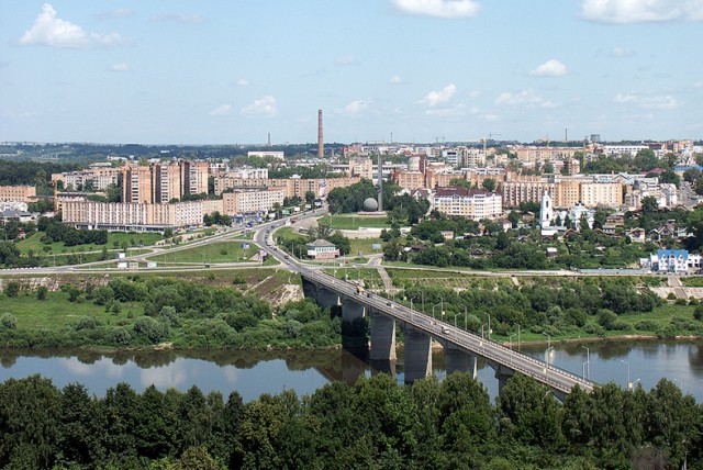 Электрошашлык party