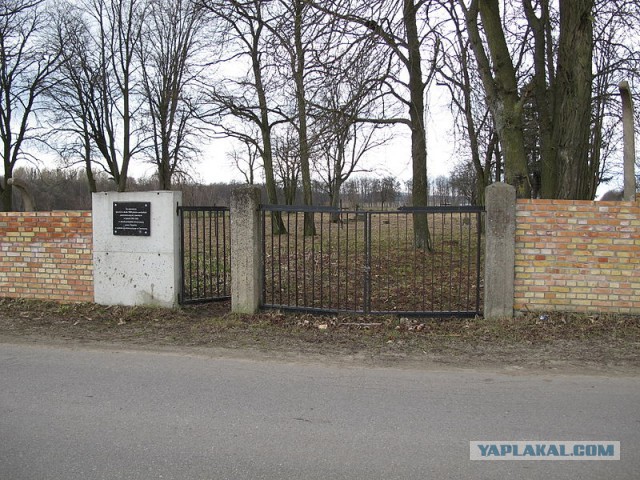 Бессмертный полк ЯПа