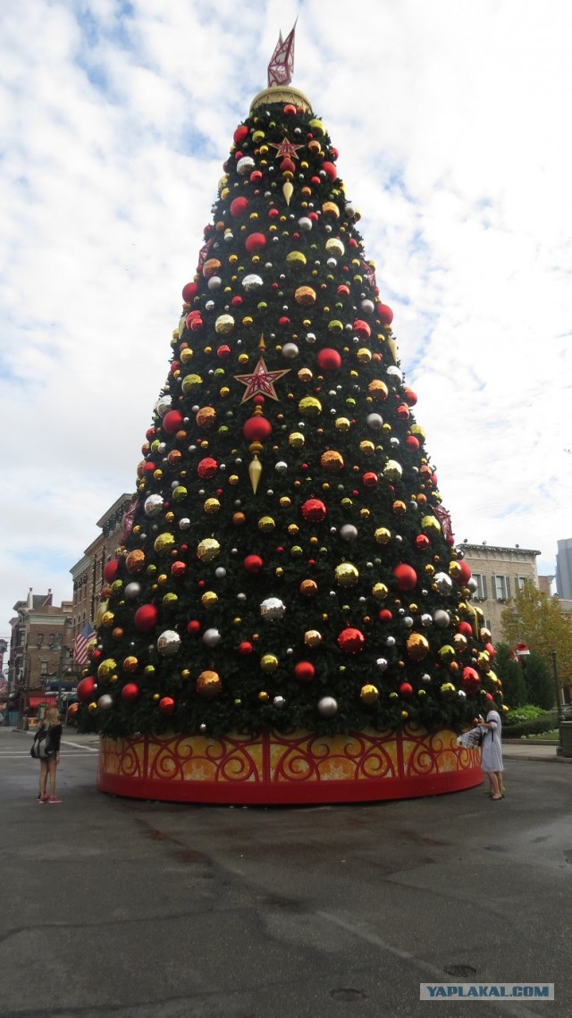 Флорида.Орландо.