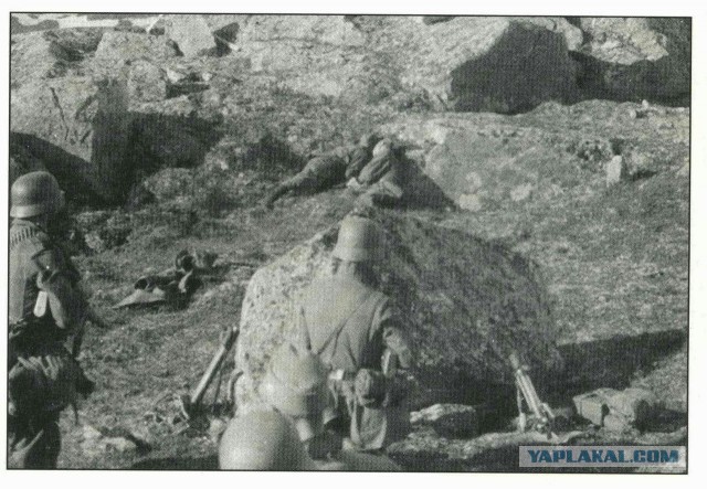 Мурманские поисковики нашли останки расстрелянных красноармейцев по фотографиям из немецкого архива