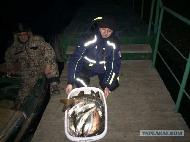 Всех с Днем РЫБАКА! Ни хвоста, ни чешуи!