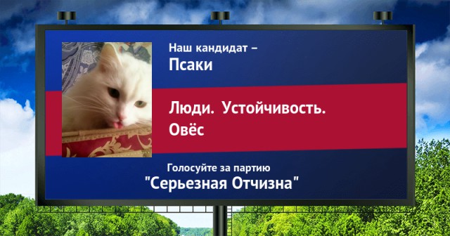 Стань кандидатом от ЯПа