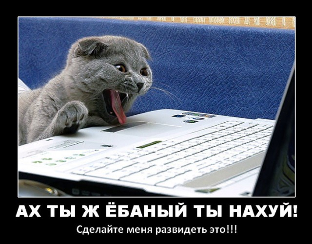 Лялечка Кристина и попа-мутант