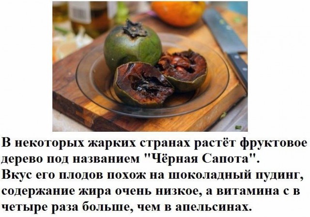 Картинки из ваших интернетов