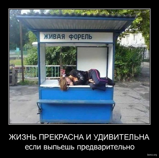 Подборка интересных и веселых картинок