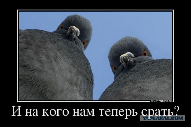 Загадка века - пружинки на уличных фонарях