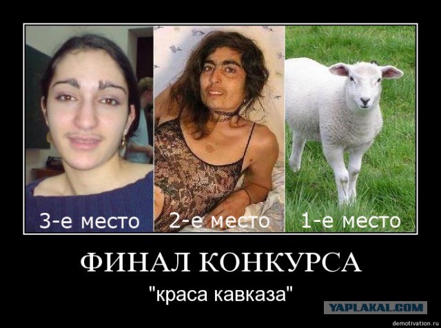 Российские политики развернули истерию против мигрантов из КР
