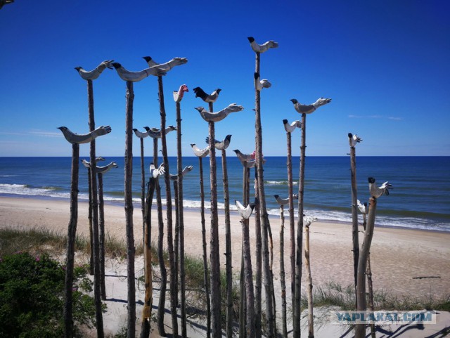 Как могла бы выглядеть русская деревня под грузом европейских ценностей