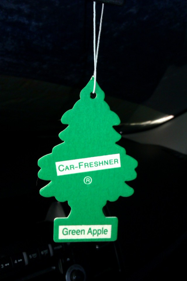 А давайте Ёлками меряться!?