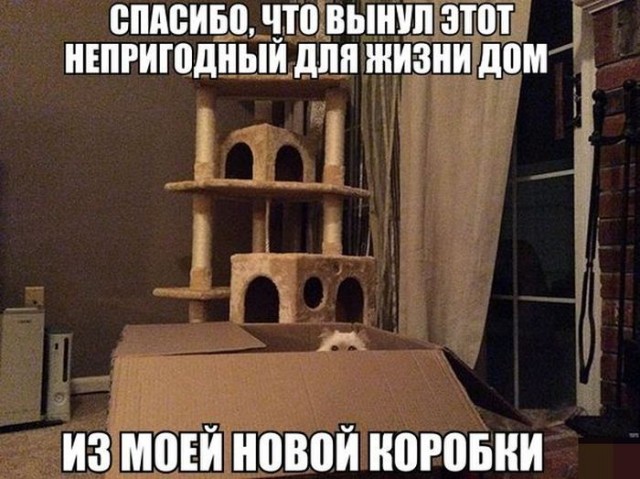Прикольные картинки абавсём