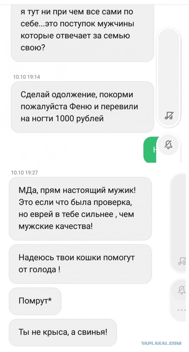 Когда мужик отдает всю зарплату жене