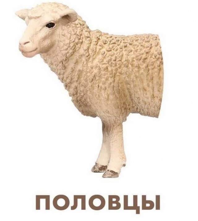 Бредзона 14.04.2020