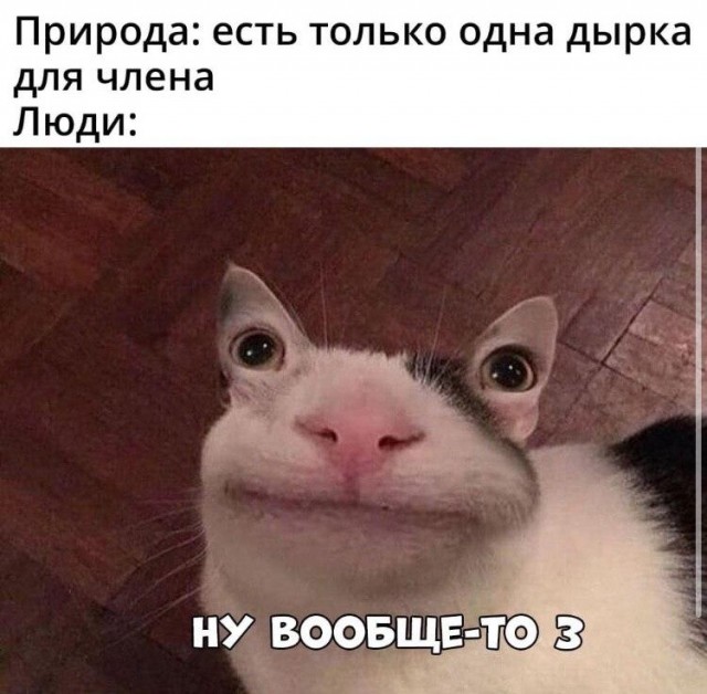 Очень пошлые картинки про это.18+