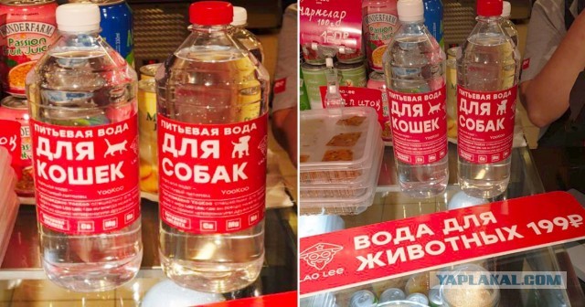 В посёлке Шушенском появились платные электронные колонки для жителей, у которых нет доступа к питьевой воде