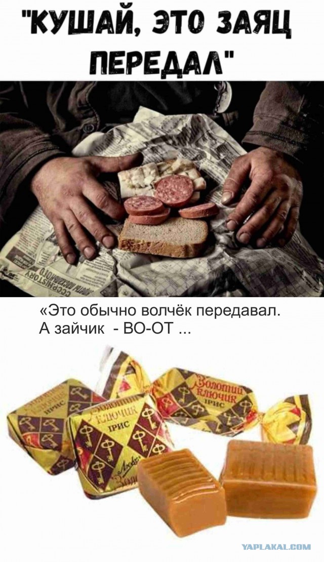 Всё работаешь? А вспомни, как ты был молод и свободен!