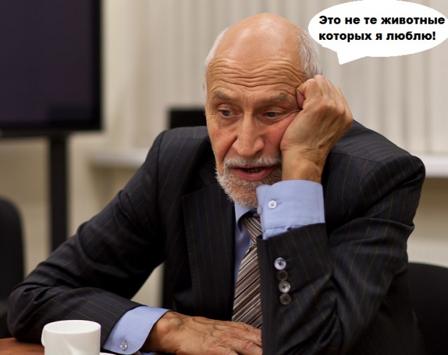 Вписки.... безжалостные и беспощадные