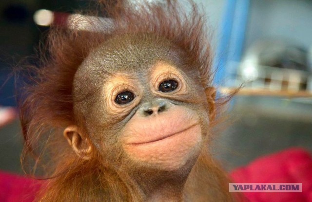 Кому-то ночью привалило