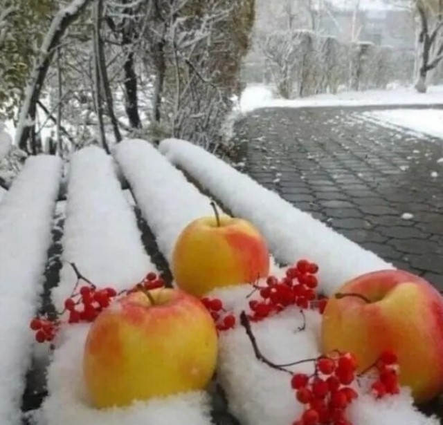 Интересные и редкие ретро-фотографии 22.11.2021