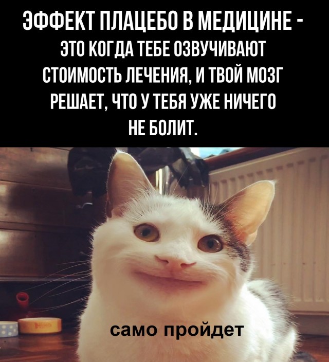 Баяны бабыЯны