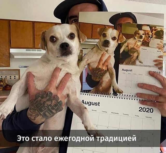 Чуток картинок 22.12.21