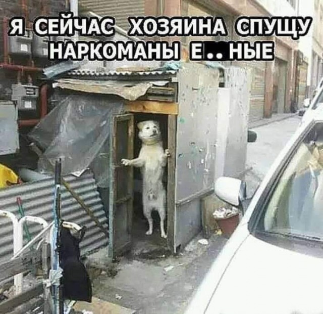 Всяческие картинки 27.12.2021