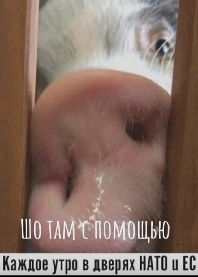 Это перфоманс или инсталляция?