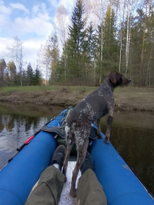 Сплав по реке Чусовая