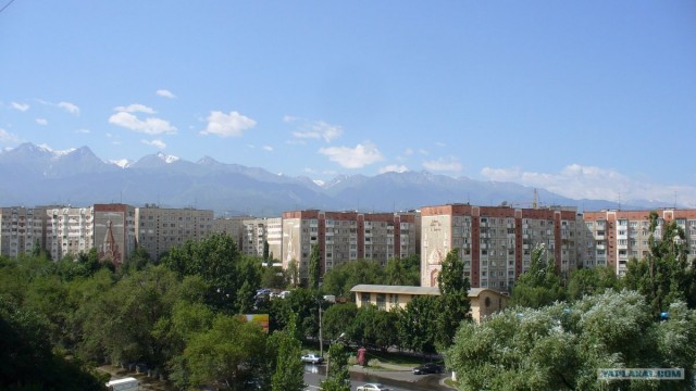 Поездка в казахстан