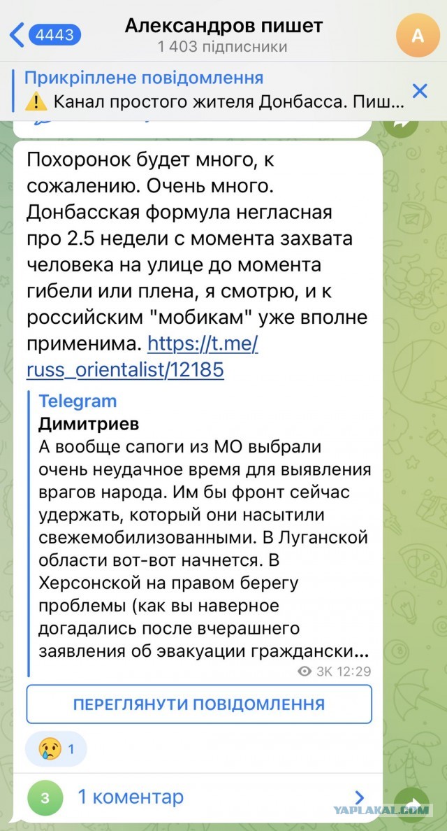 «У каждой парадной по два сотрудника». Петербуржцы сообщают об облавах на резервистов
