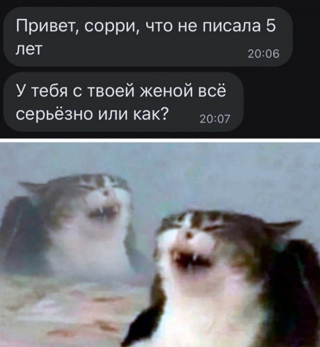 Картинки и мемы для настроения - 123