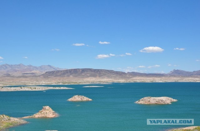 Ford Mustang напрокат