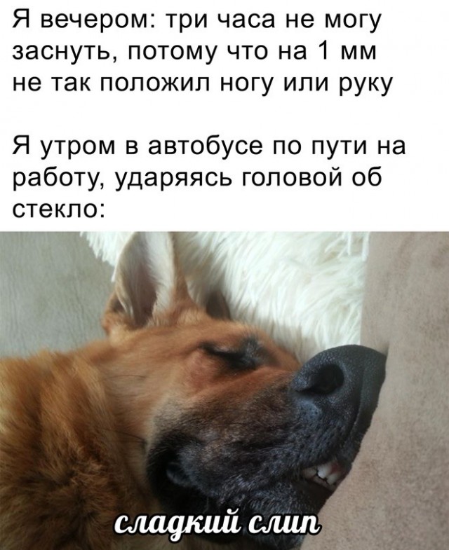 Весёлый полтишок 22.10.23