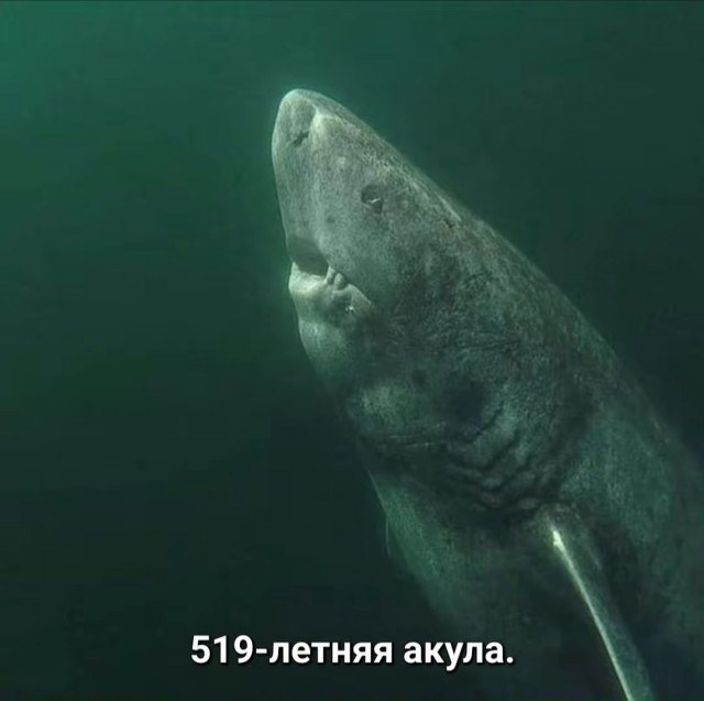 Подборка интересных исторических фото