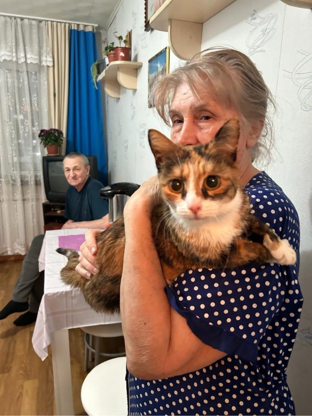 Кошачий приют