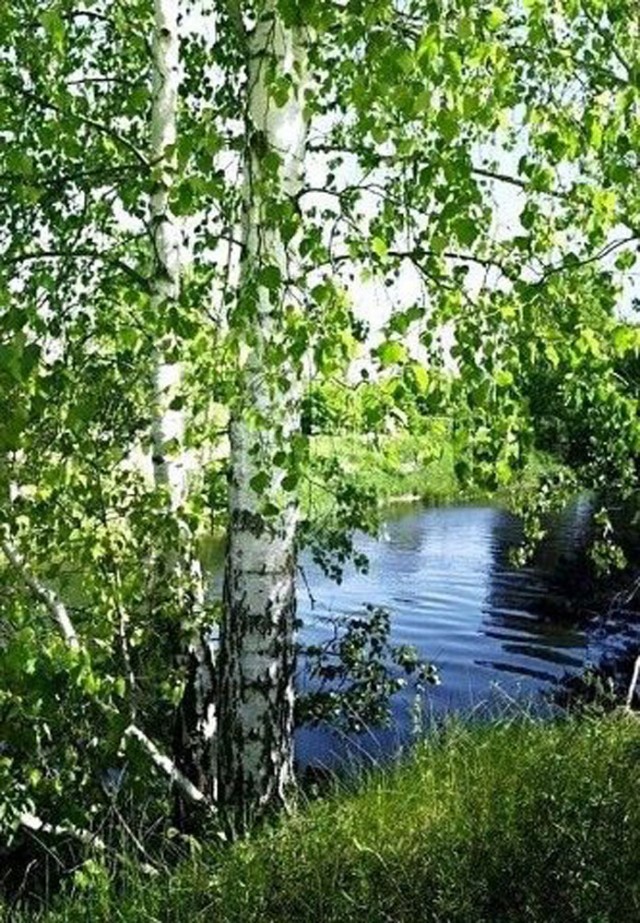 Прикольные и просто красивые картинки 21.06.2024