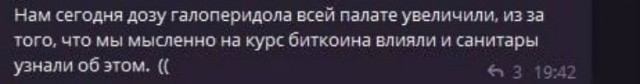Нуштош 17.01.2025. Чем кажутся совы (s3e2)