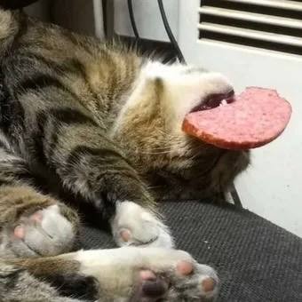 Колбасу можно есть только два раза в неделю по 50 грамм, — врач