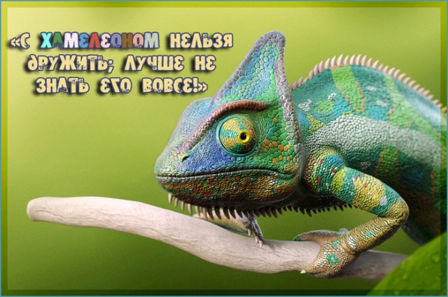 Метаморфозы
