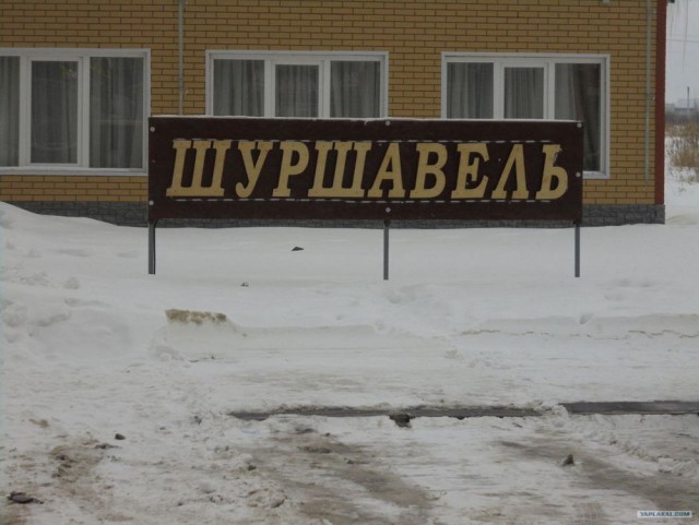 Так себе картинки 13.05.25