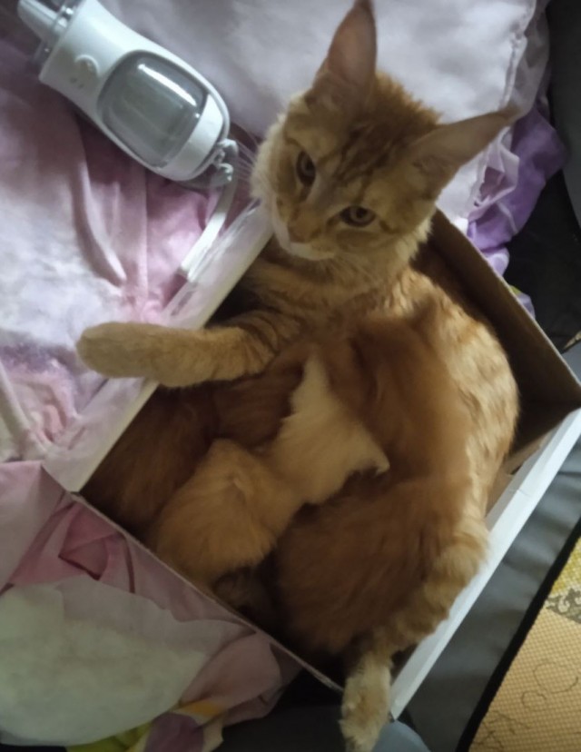 Когда ты домашняя бусинка, а другие это не понимают