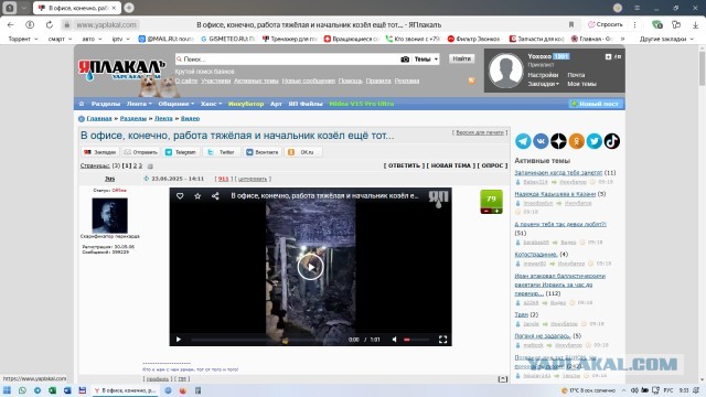 Как поймать кота