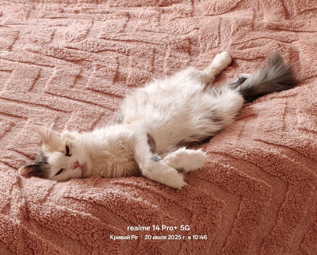 Минус один бродяга