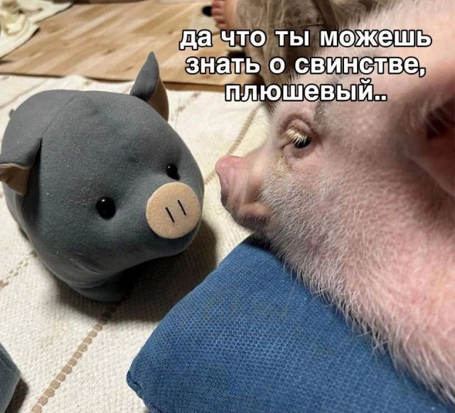 Воскресные картинки