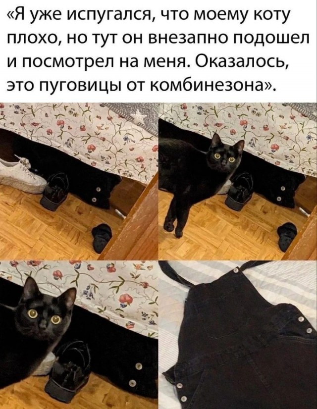 Убить мышь нетрадиционно