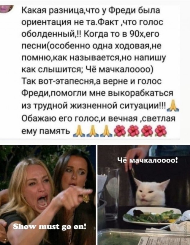 Веселые картинки в понедельник (12.01)