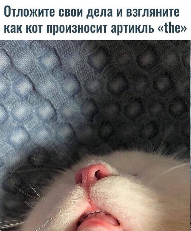 Субботние картинки