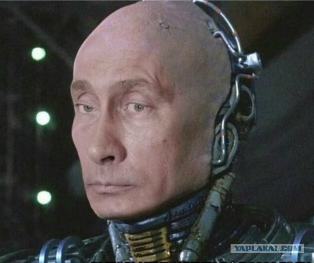 Дожили