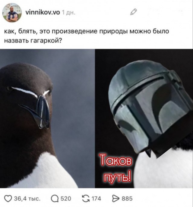 Так себе картинки 17.05.26